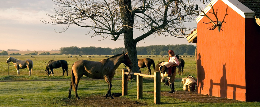 Horseriding with gauchos at traditional South American lodges and estancias