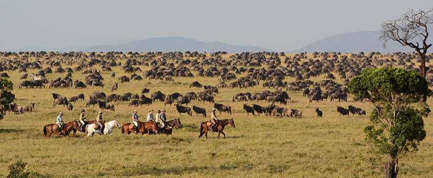 Horse riding holidays through the Great Migration on the Masai Mara 