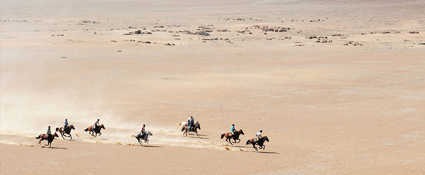 Galloping across the sandy plains of Namibia