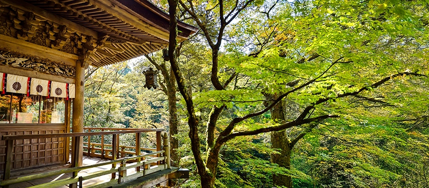 A traditional wooden temple pavilion framed by autumn foliage, set within a tranquil forested landscape in rural Japan.