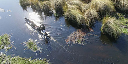 Mokoro in Okavango Delta