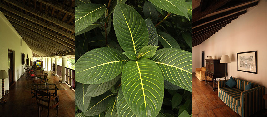 Ratwatte Walauwa offers luxury accommodation in Kandy, Sri Lanka