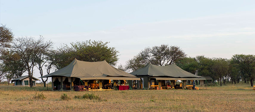 An off the beaten track experience awaits while on safari at Kaskaz Mara