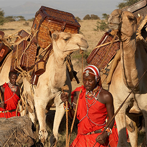 The Original Wildlife Safari Destination