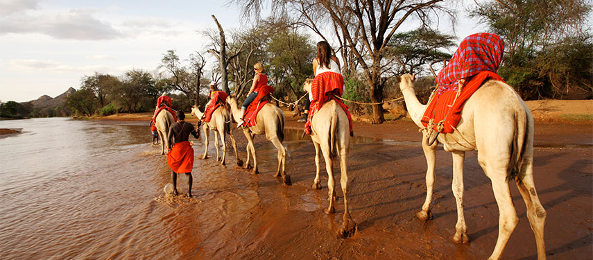 Look out over the Laikipia Plateau on camel-back at Sasaab