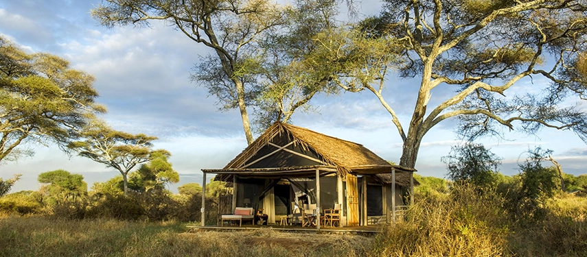 A classic canvas safari tent sits beneath tall trees, its shaded veranda overlooking golden grasslands rich with wildlife.