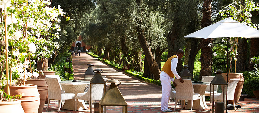 Regal elegance and well manicured gardens at La Mamounia
