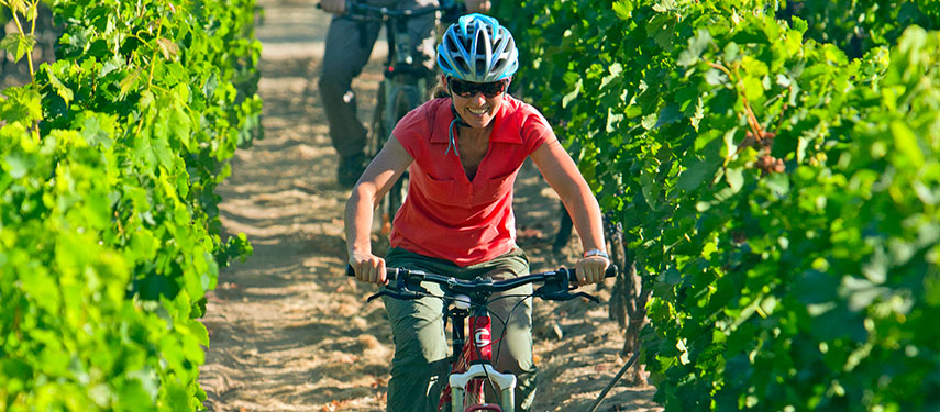 Woman cycles through vineyards in Chile's wine region