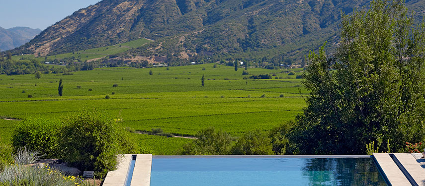 Luxurious pool at Clos Apalta Residence in Chile's wine region.