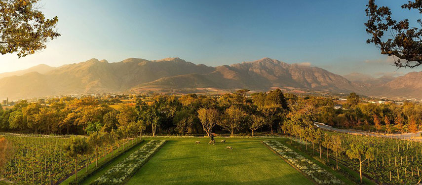 Expansive views of vineyards, landscaped gardens and the surrounding mountains at Leeu Estates