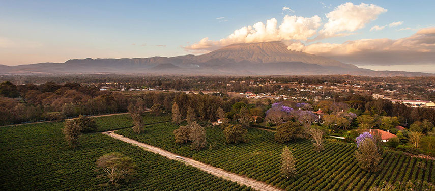Enjoy the garden and views over Mount Meru from Legendary Lodge