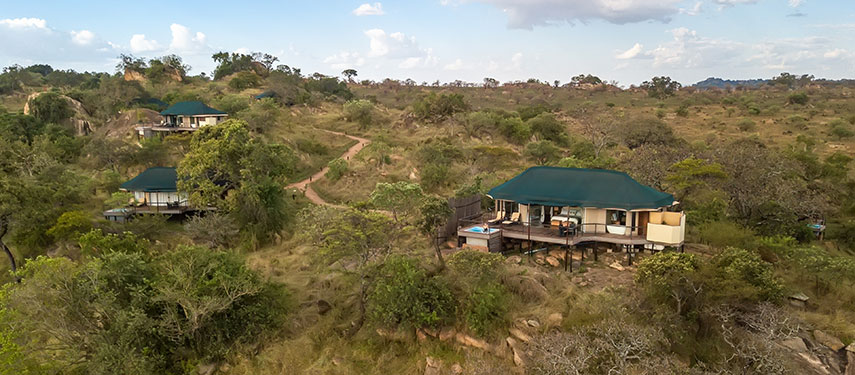 Enjoy abundant wildlife lurking in the grassy rolling hills at Lemala Kuria Hills