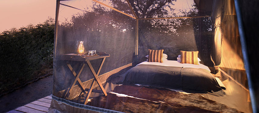Sleep under the stars from the star suite at Linyanti Expeditions in Botswana