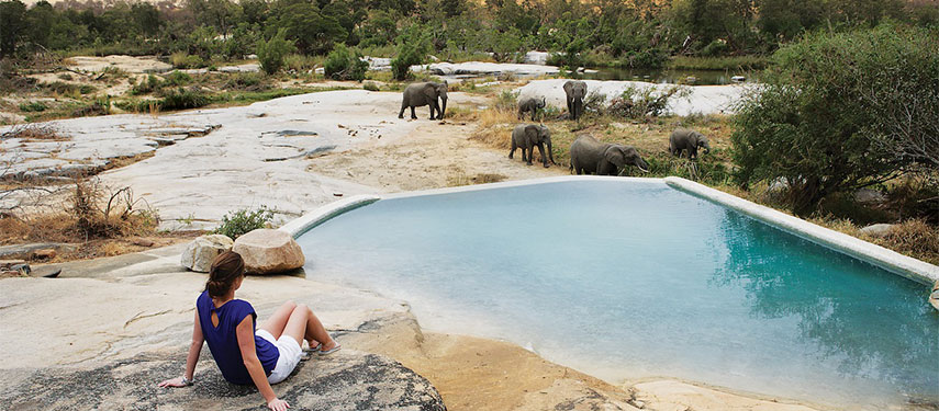 Look out for elephants in the Sand River at Londolozi Private Granite Suites