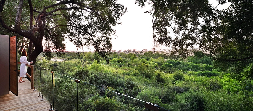 Guest enjoying a peaceful sunrise view over lush green wilderness from the Londolozi Healing House deck.