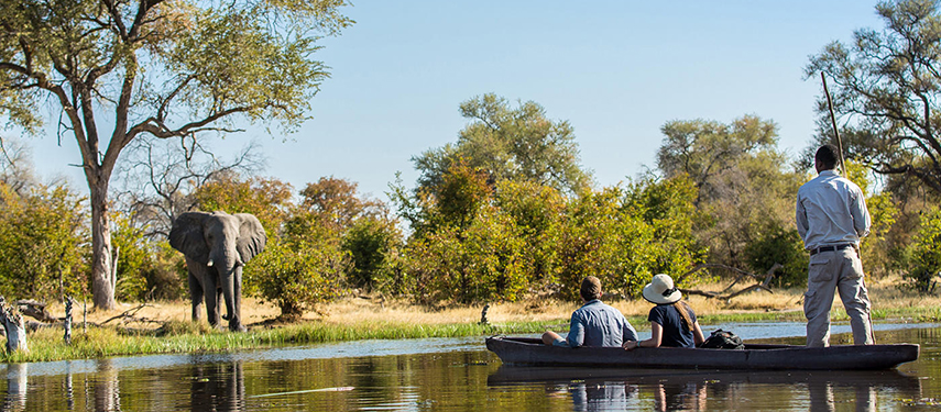 Guests in a traditional mokoro canoe glide past an elephant drinking at the water’s edge under the watchful eye of their guide.