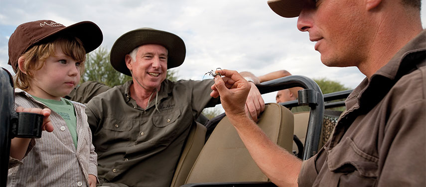 Malaria-free family safari at Madikwe Safari Lodge