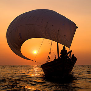 Bush & Beach Adventure