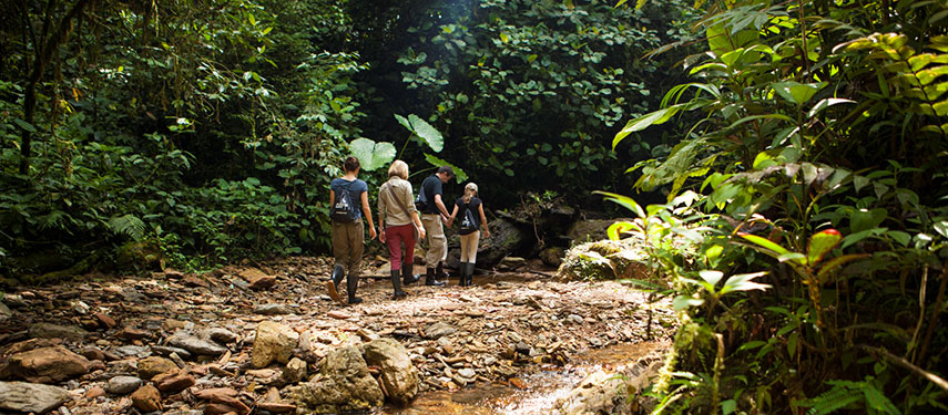 walking at Mashpi Lodge in the Ecuadorian jungles