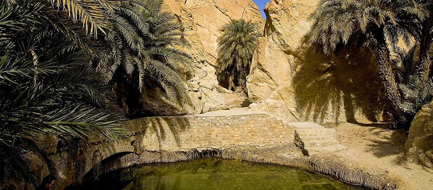 Palm-filled oasis at Chebika framed by desert mountains with a small spring-fed pool.