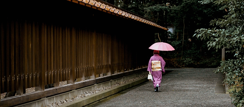 A woman in a traditional kimono walks along a peaceful temple path beneath trees, holding a pink umbrella in soft, filtered light.