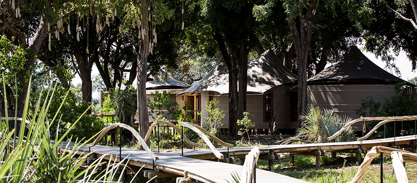 Timber walkways connect tented suites at Mombo Camp in the okavango Delta