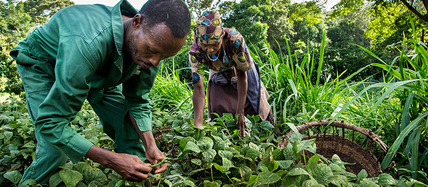 Gibb's Farm organic farm-to-table dining inspires the senses and replenishes your soul