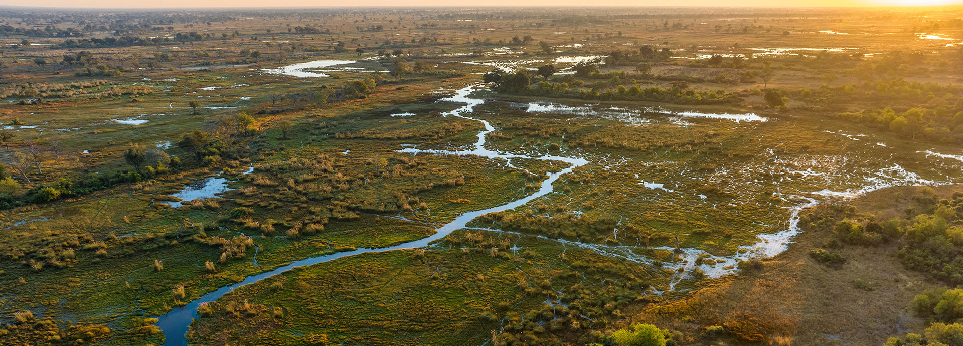 Okavango Delta scenery
