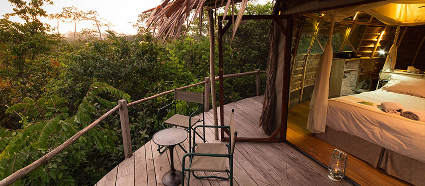 Rustic luxury at Lango Camp in the Republic of Congo's Odzala Kokoua National Park