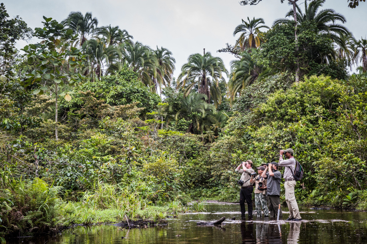 Walking from camp to camp through the Congo Basin