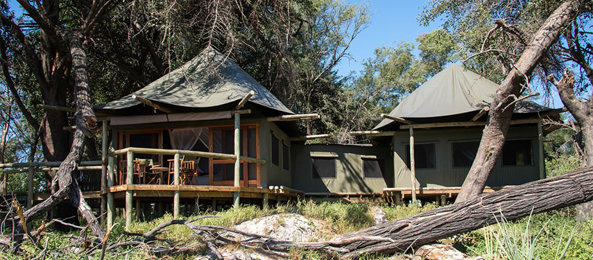 Shade and comfort beneath the trees in tented accommodation at Xigera Camp in the Delta
