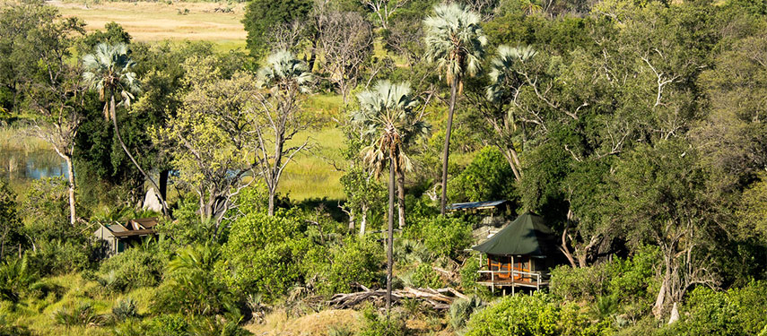 Aerial view of luxury tents at Xigera Camp in the Delta