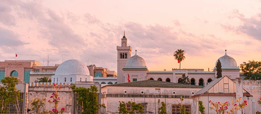 Panoramic Medina skyline with domes and minarets glowing at sunset.