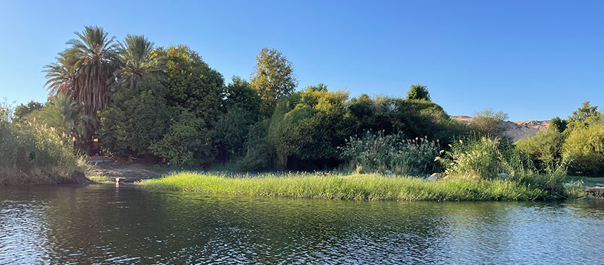 A view of the lush banks of the Nile River near Cairo