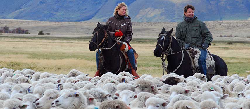 Remota has bilingual guides specialising in geology, paleontology, glaciology, flora and fauna, fly fishing, horseback ride, mountaineering and mountain biking,