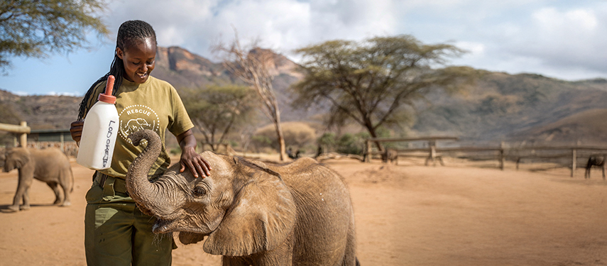 Elephant keeper Naomi feeding a young orphaned elephant at the Reteti Elephant Sanctuary.