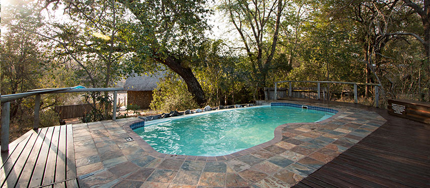 A private swimming pool at a safari lodge in South Africa