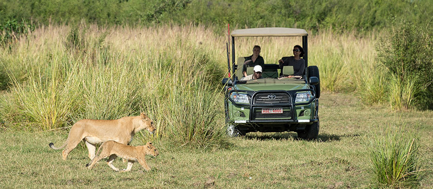 Guests watch mother lion and cub on a Game Drive in Mana Pools National Park, Zimbabwe