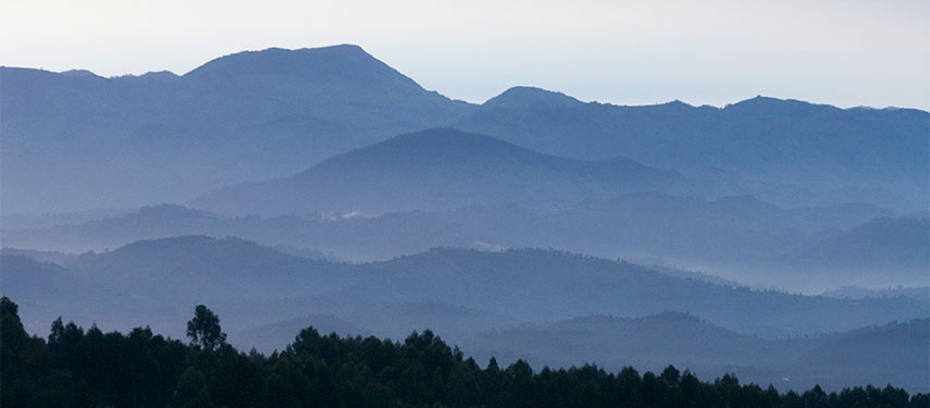 Volcanoes National Park & the Virunga Mountains