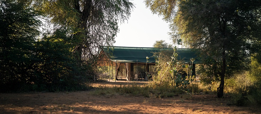 Safari Tent Forest Camp Secluded Landscape Samburu Kenya Sarara Wilderness Camp