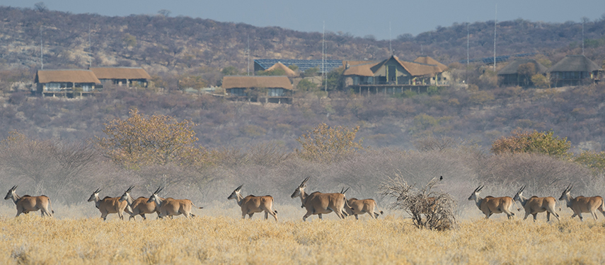 Views across the Etosha Pans from Safarihoek, Namibia