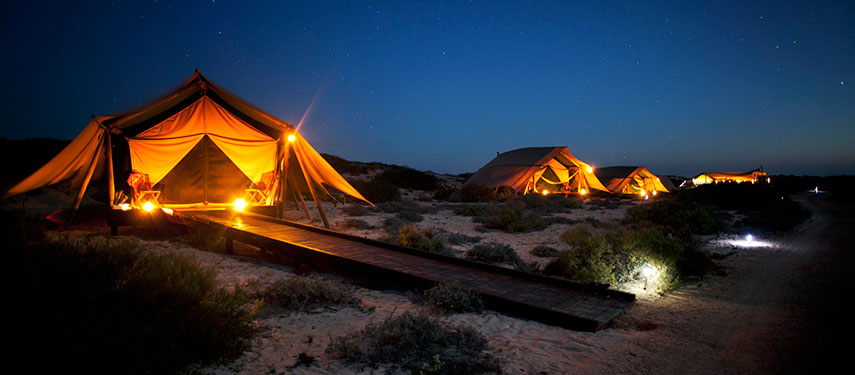 Hidden amongst sand dunes, Sal Salis spacious eco-lux tents sit on raised platforms offering wonderful views of the ocean
