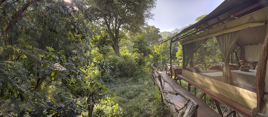 A star-filled night sky above the warmly lit main lodge at Sarara Treehouses, reflected in the still waters of the swimming pool.