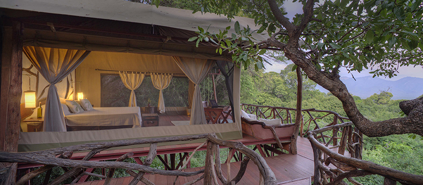 A romantic forest-view daybed setup on a wooden deck at dusk, overlooking the treetops and distant Mathews Range.