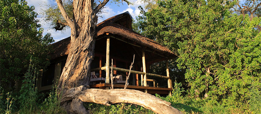 Overlook the Savuti channel from your tent at Savuti Camp