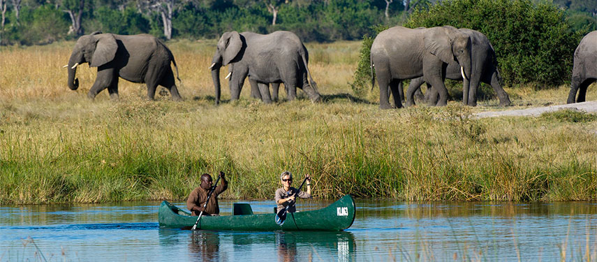 Guest and guide enjoy a canoeing safari on the Savute Channel with elephants on the riverbank.