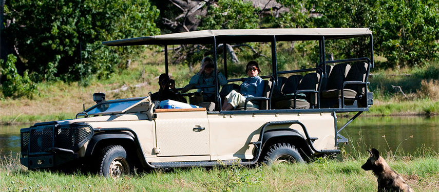 Game drive with guests viewing African wild dogs