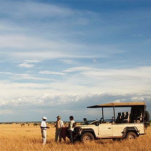 Iconic East African Wildlife Safaris