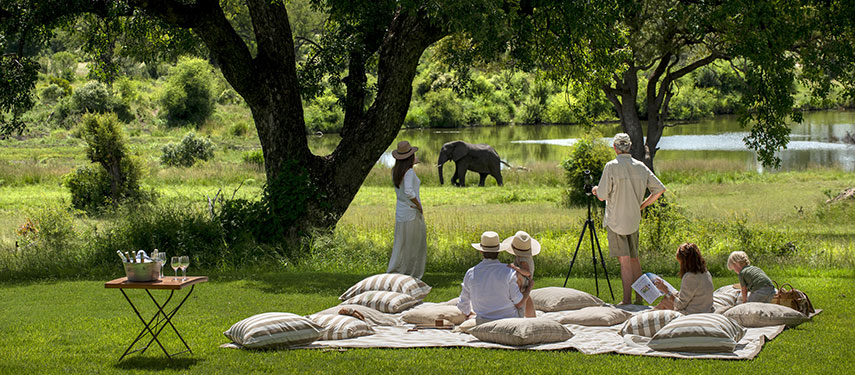 Luxury picnic with a view of passing wildlife at Singita Castleton
