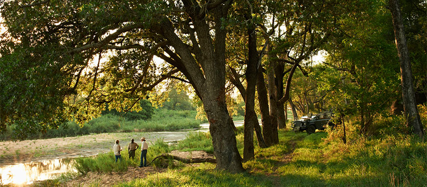 Game viewing over the swamp at Linyanti Ebony Camp